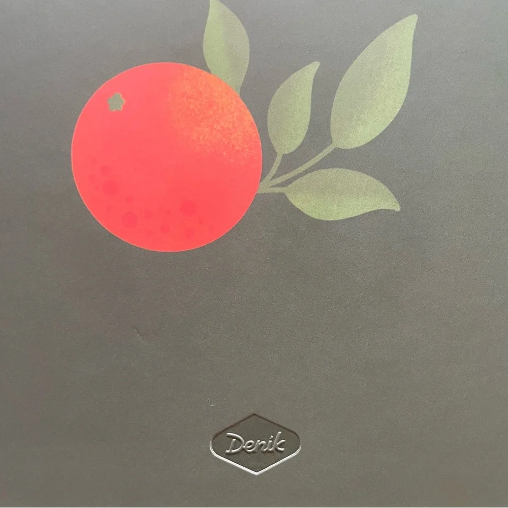 NWOT Citrus Themed Weekly Planner, 2 yrs/104 weeks